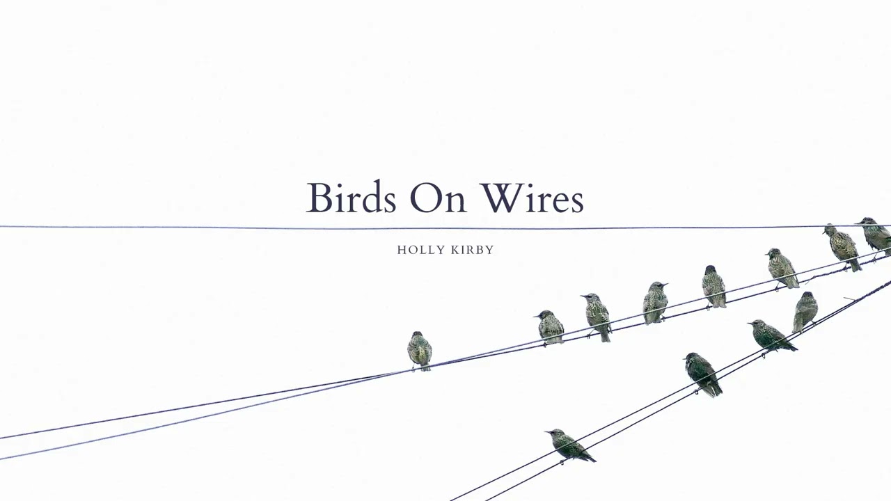 Birds On Wires - Holly Kirby