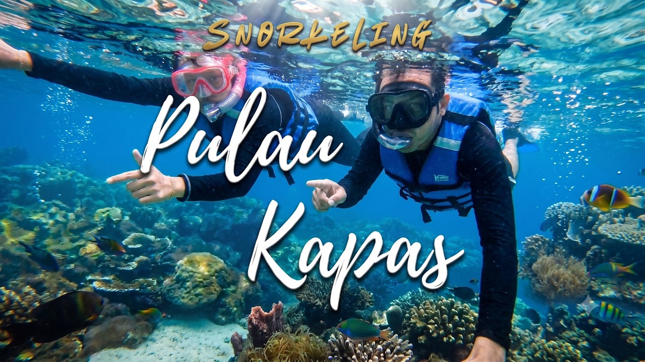 Snorkeling Pulau Kapas | 2nd day dalam air je! 