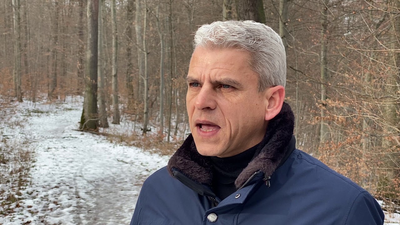 Wald-O-Mat mit Dr. Patrick Rapp MdL (CDU-Fraktion) | Forstkammer Baden-W&uuml;rttemberg e.V.
