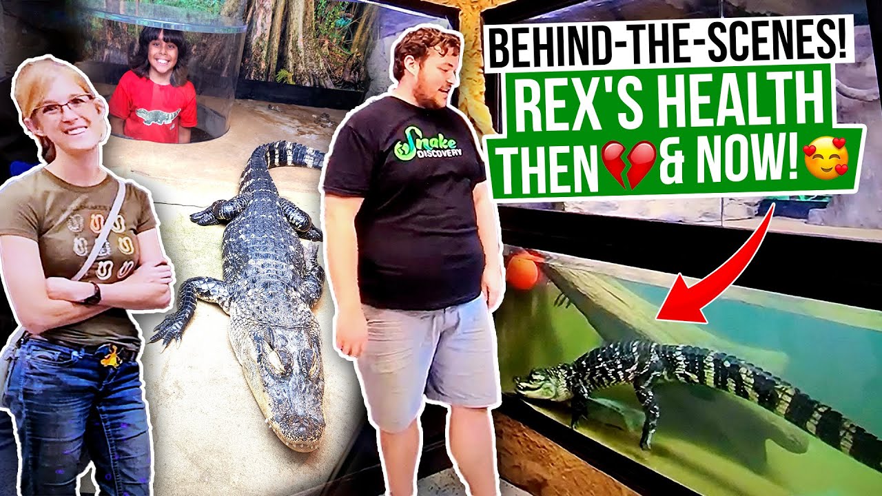 EMILY, ED talk about REX HEALTH!Rex Feeding! Rex's BEST Life with EMILY & ED !