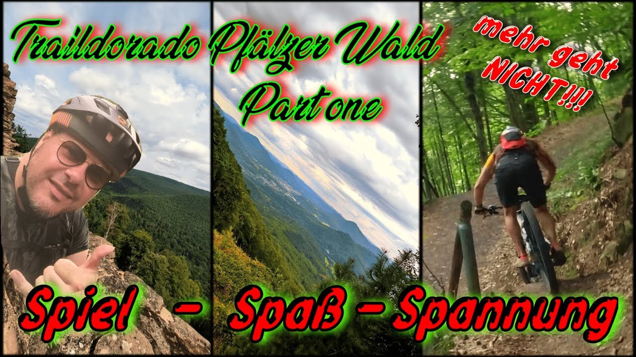 Traildorado Pfälzer Wald MTB I sehr geil I Albersweiler Teil 1 mehr Trail geht fast nicht! Fox Giant