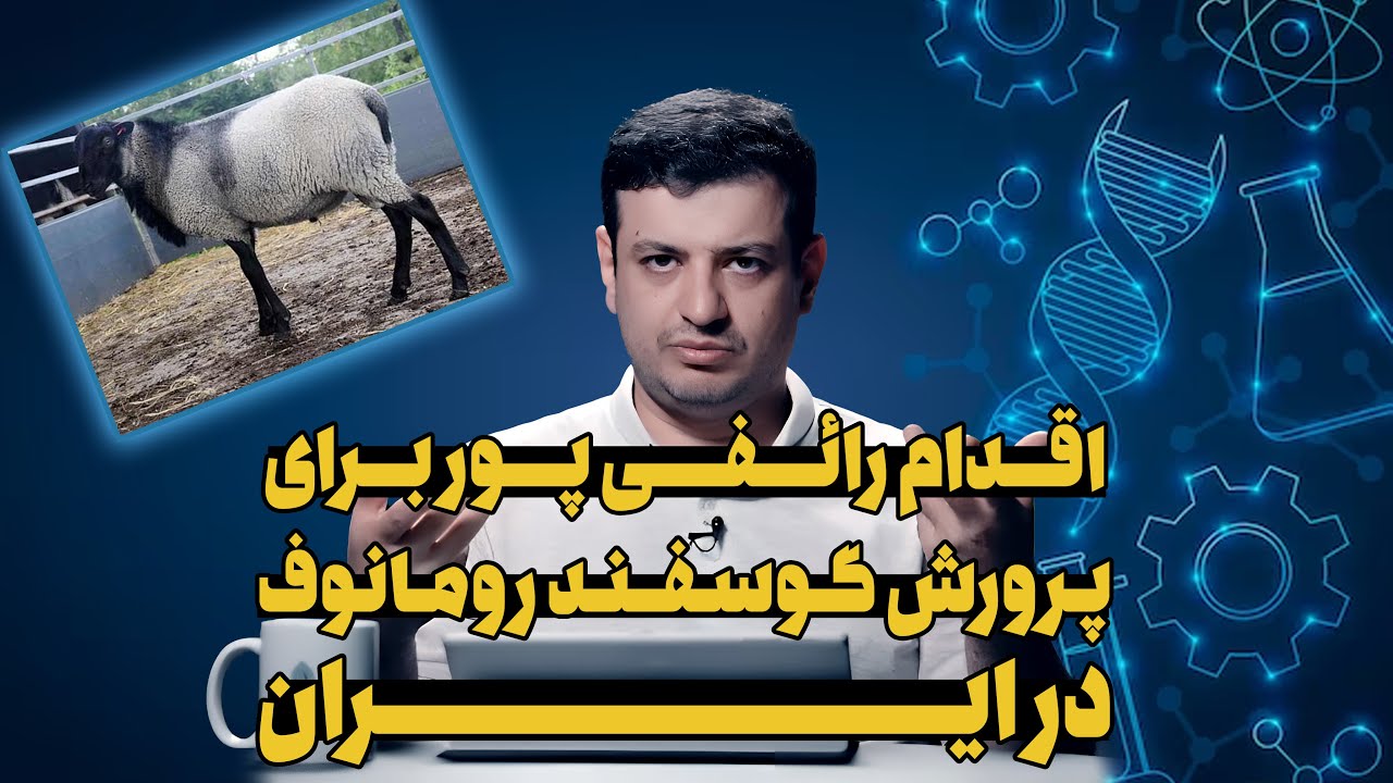 پرورش گوسفند رومانوف در ایران توسط استاد