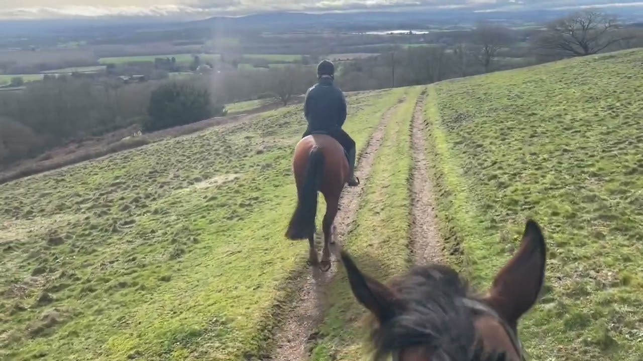 Teacakes first hack up the hills aged 4 