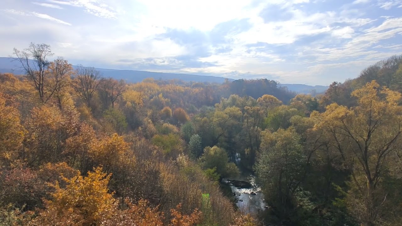 Autumn river valley view with colorful trees and birds singing in the wind