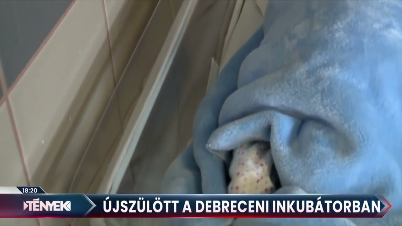 Újszülött a debreceni inkubátorban