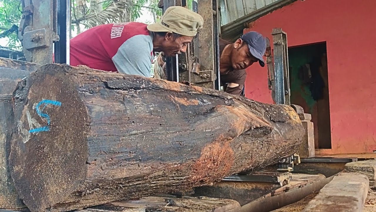 Bagaimana pabrik penggergajian di Desa mengolah kayu gelondongan menjadi papan berkualitas tinggi