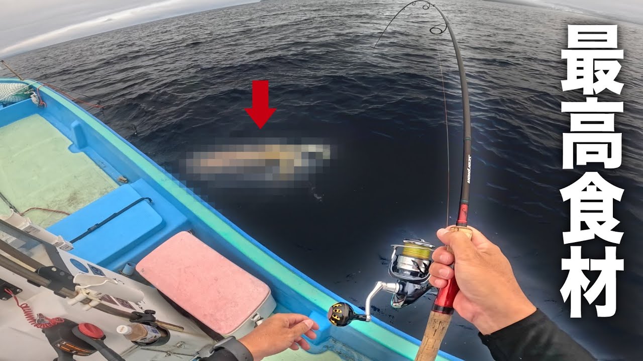 悪天候で釣れた大物捌いたら妻も絶賛する料理が出来たのですべらない話しながら食ったった