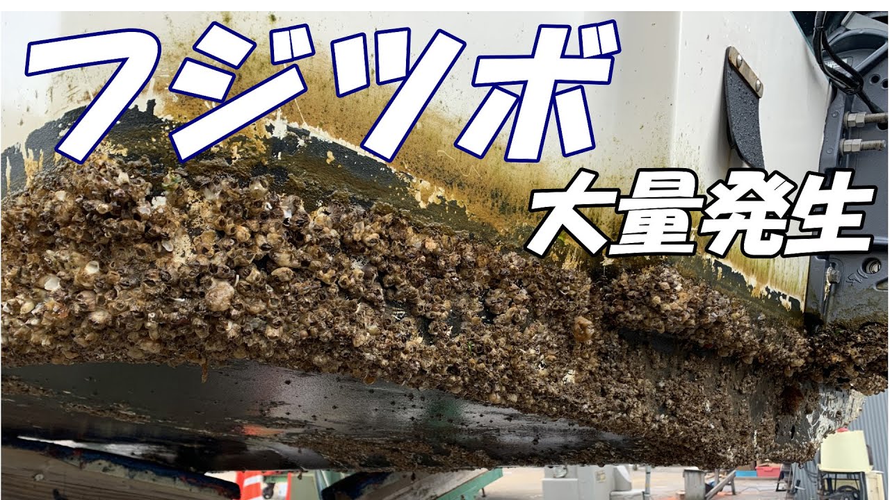 漁船にフジツボが異常に付着するので陸揚げして掃除しました【ヤマハW25-CF】