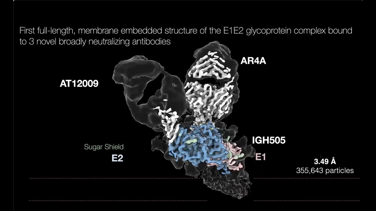 Visualizing macromolecular machines using cryo-electron microscopy
