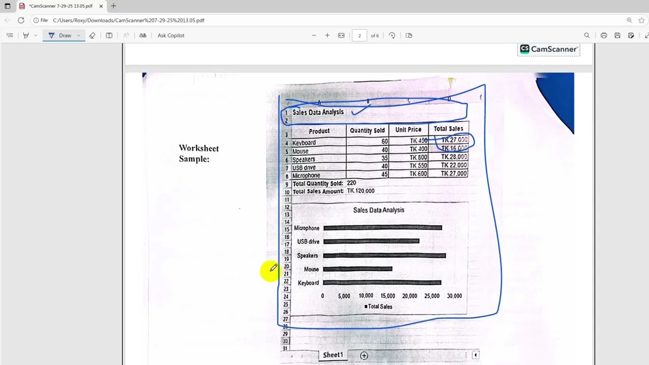 NSDA Assessment Graphics Design Level-3 MS Word, Excel & PowerPoint In this video tutorial roxy