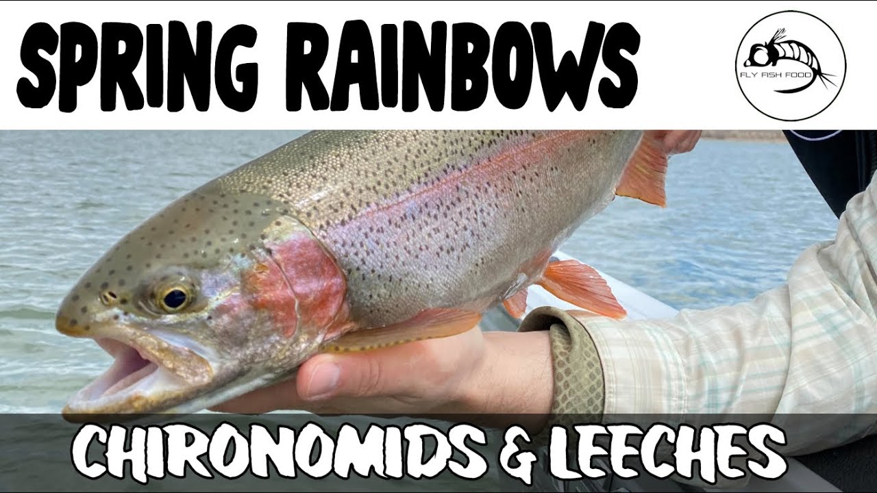 Fly Fishing: Spring Rainbow Trout: Chironomids and Leeches