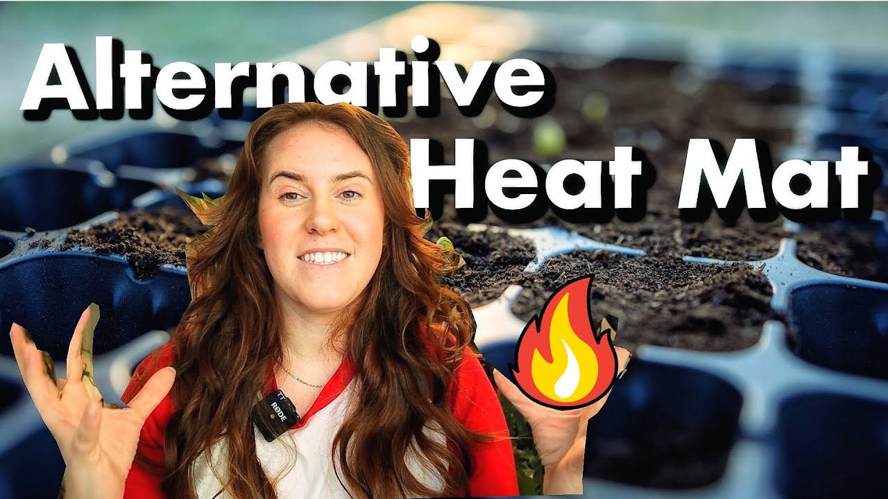 No Heat Mat? No PROBLEM. Heat Mat Alternatives For Seeds!