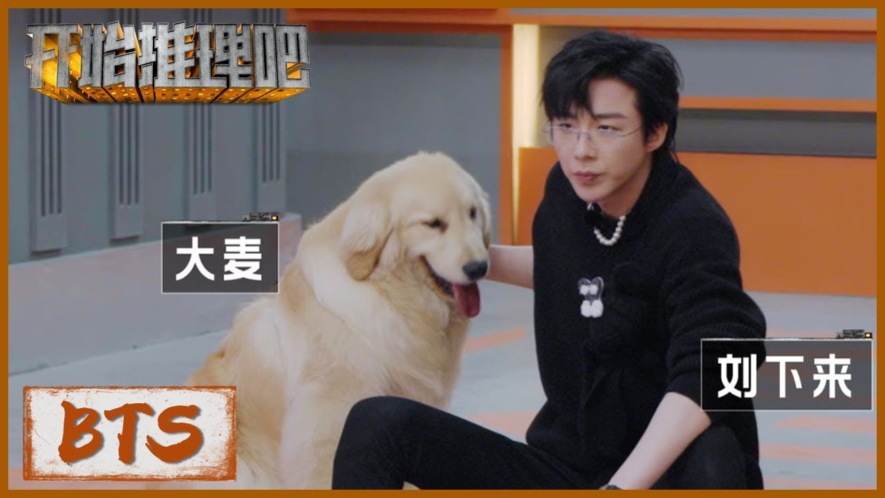 【未播花絮】摩登兄弟刘宇宁用烟台话训练公寓新团宠狗狗大麦 ！The Truth S1 #迪丽热巴 #刘宇宁#白宇#金靖 #周柯宇#张凌赫