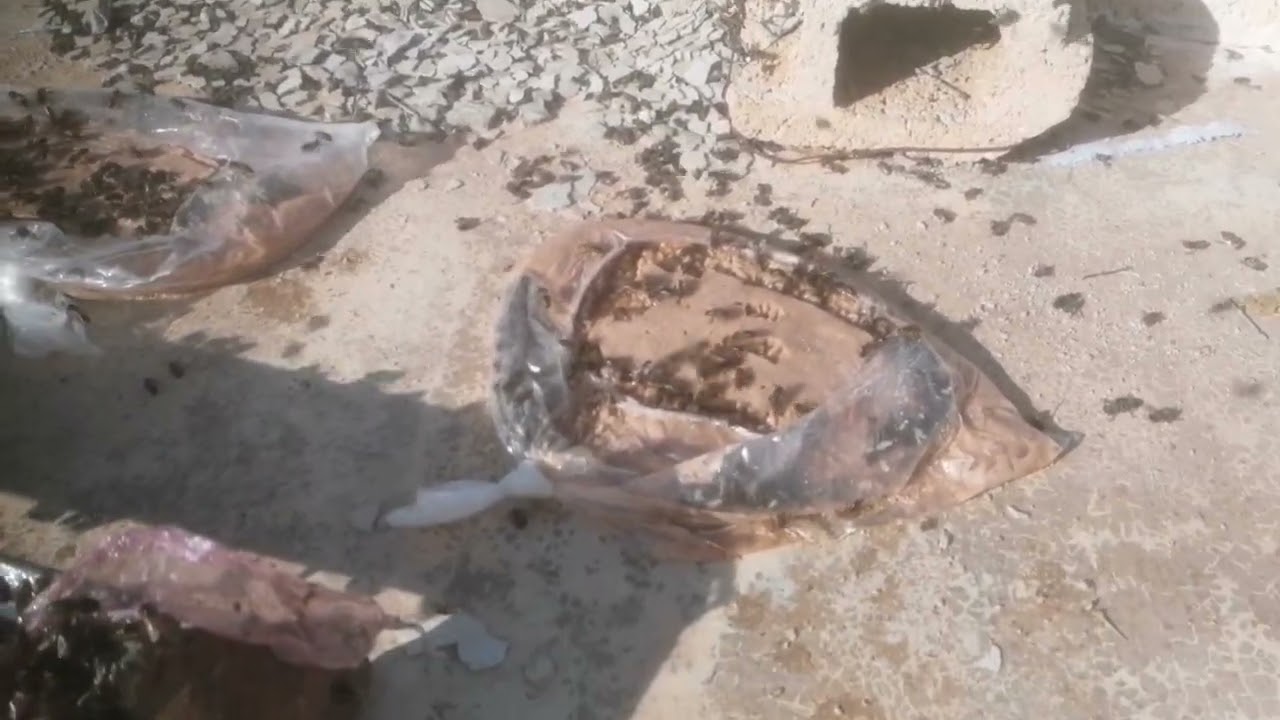 معلومات عن التغذية في فصل الشتاء