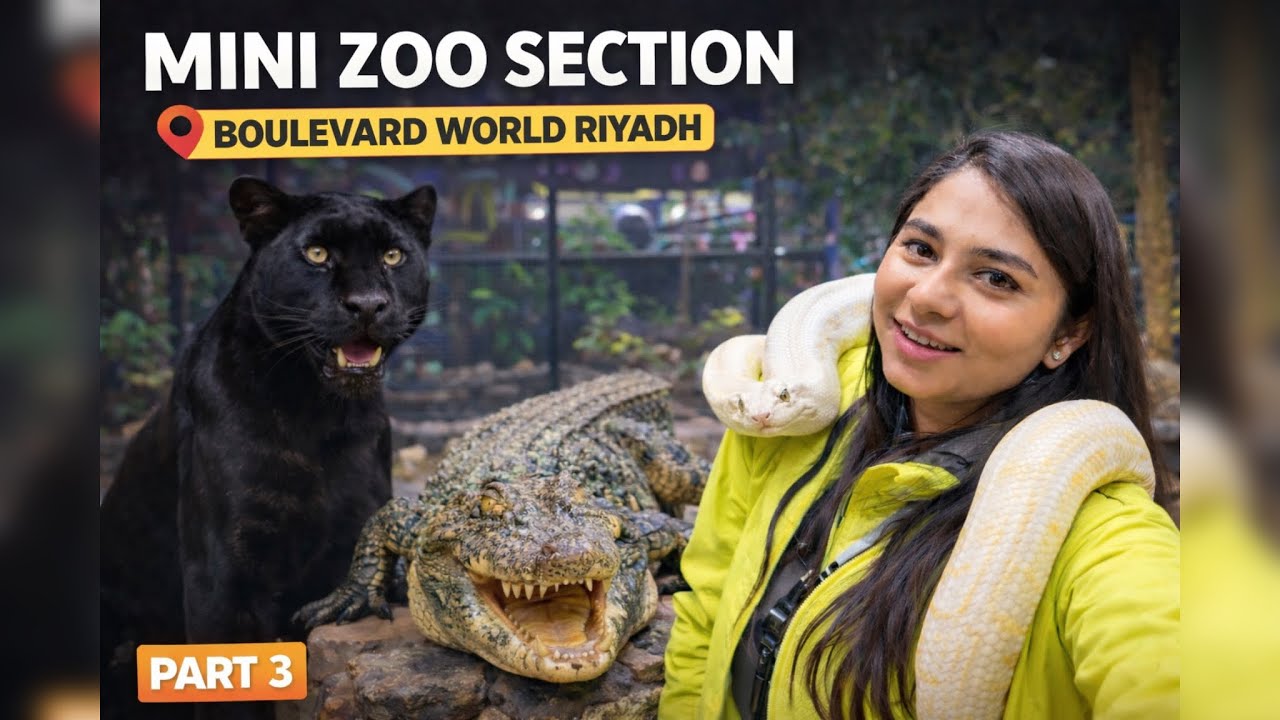 Saw a Black Panther & Crocodile at Boulevard World Riyadh 🐆🐊 | Mini Zoo Section | Part 3