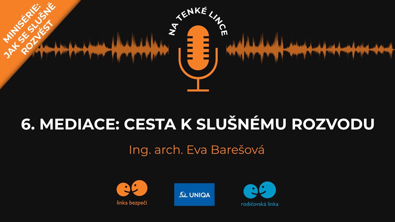 6  MEDIACE  Cesta k slušnému rozvodu
