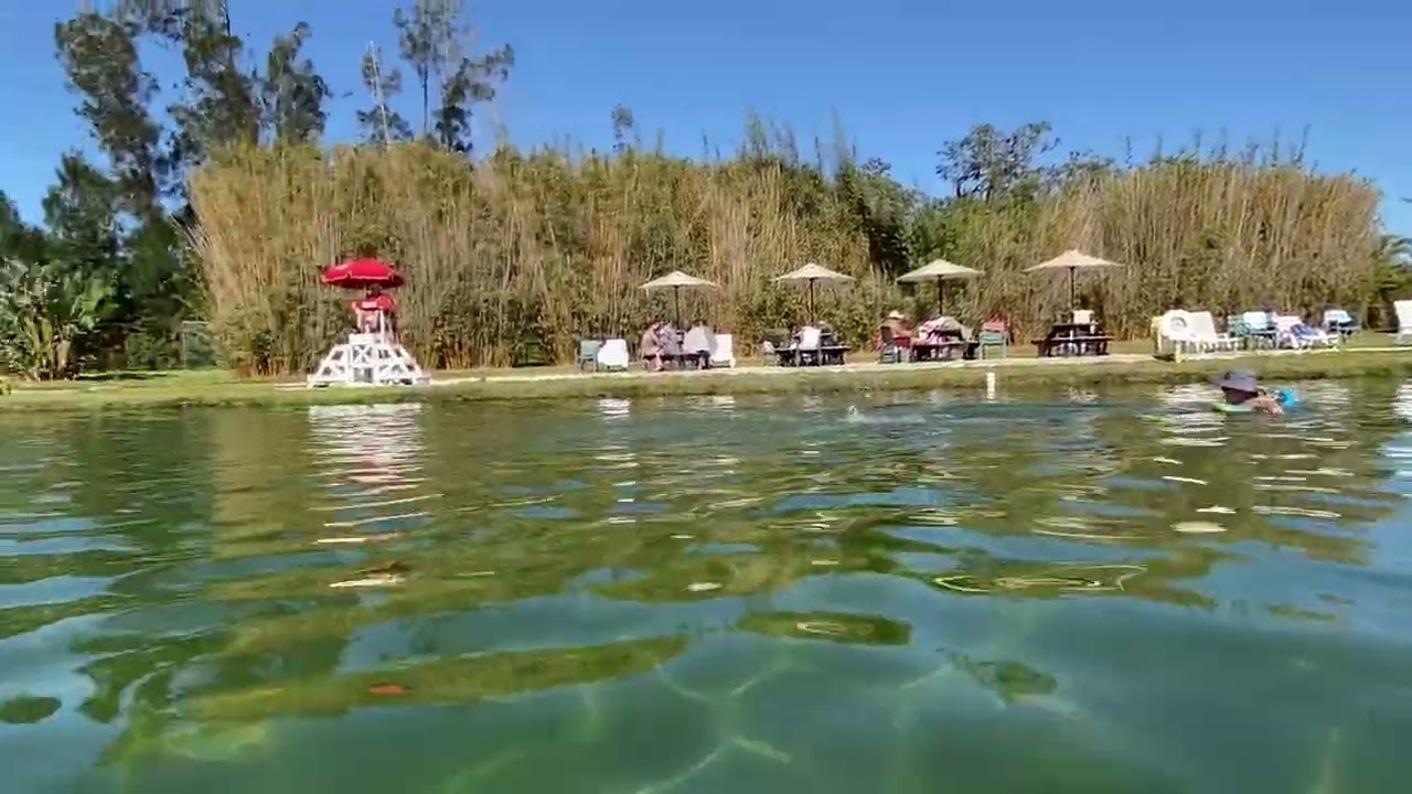 Warm Mineral Springs Park *****, North Port, Florida