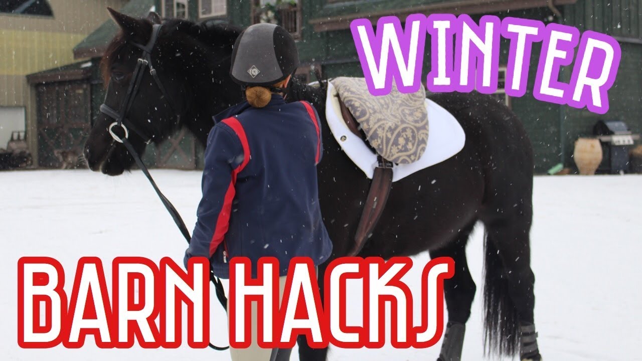 Winter Barn Life Hacks // MR EQUESTRIAN