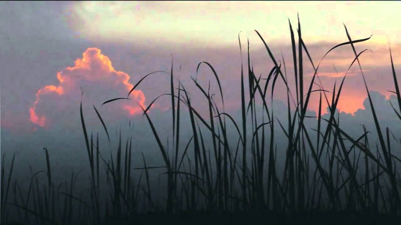 Maurice Ravel / Pavane for a Dead Princess