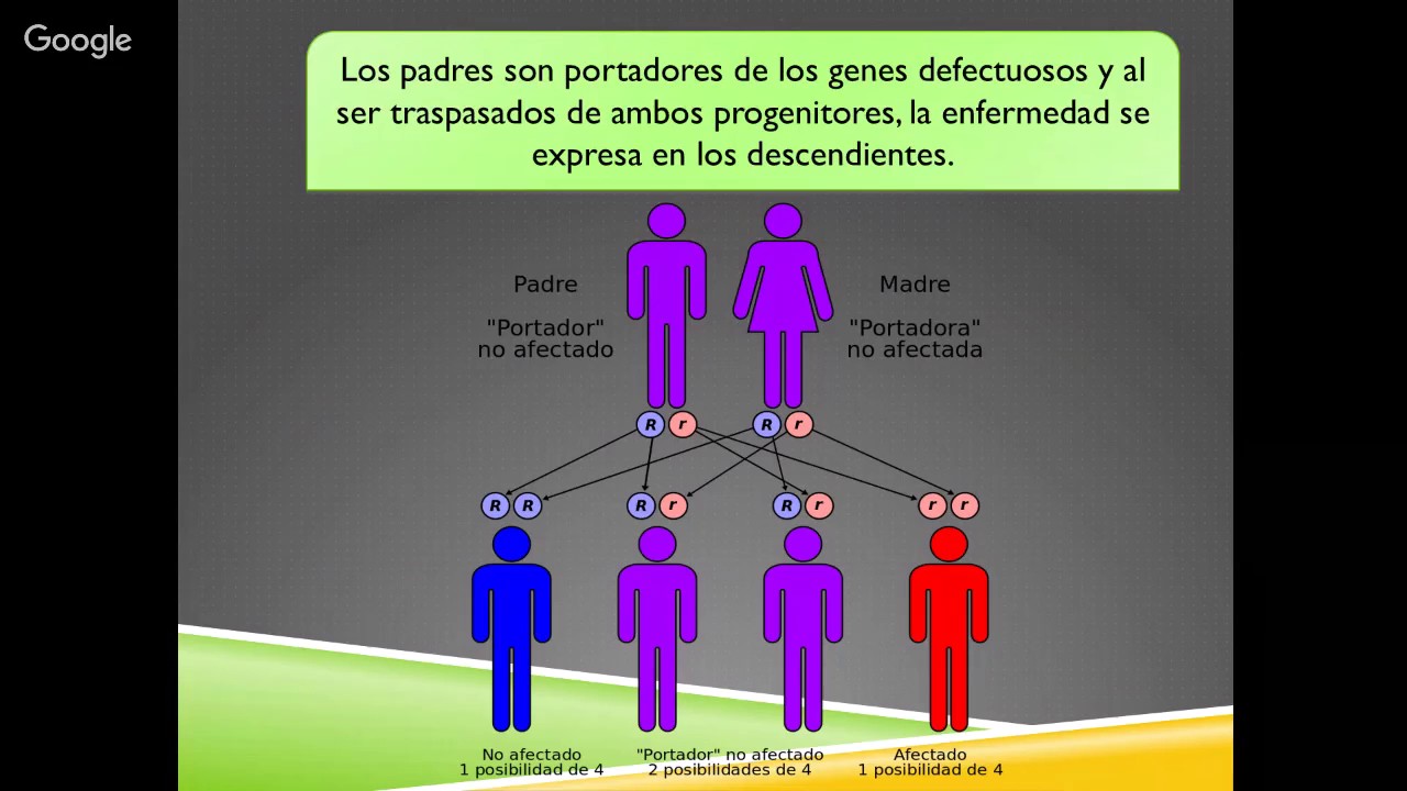 Fenilcetonuria: Fisiopatología, diagnóstico y tratamiento.