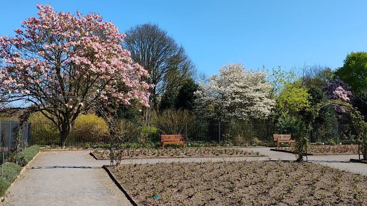 Grugapark  Essen  04.04.2025