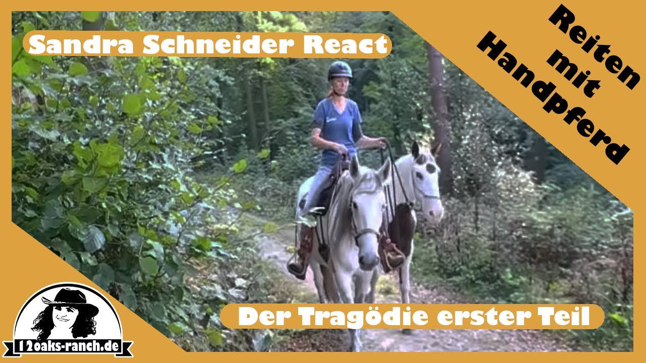 Pferdeprofi Sandra Schneider React: My Mustang & me - vorher / nachher | Tutorial Handpferdereiten
