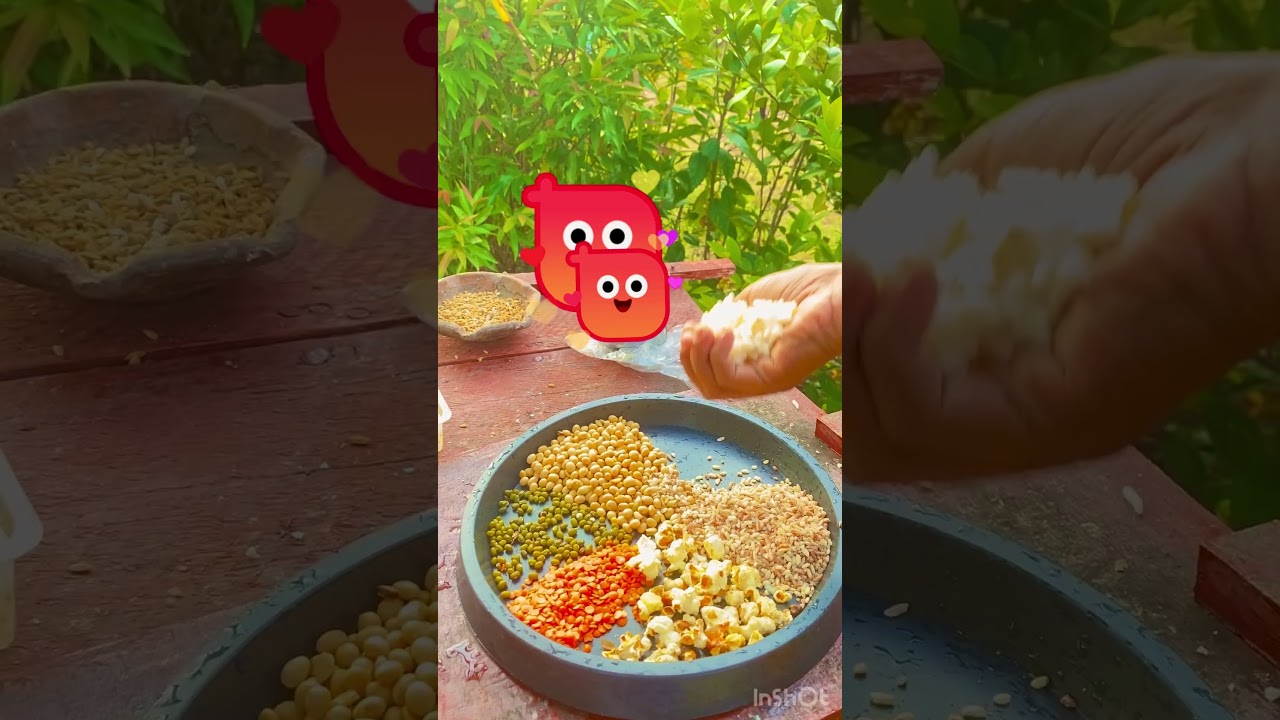 clearing bird feeders & feeding birds 