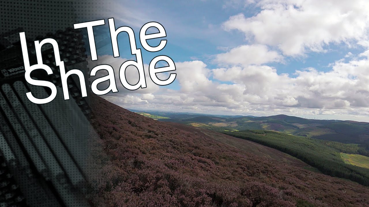 In the Shade - Risk & Reward - COVID Cruise EP 7