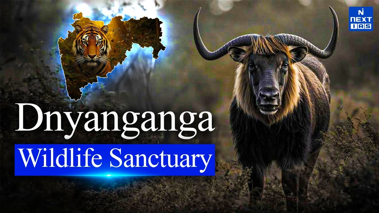 Explore Dnyanganga Wildlife Sanctuary in Just 10 Minutes