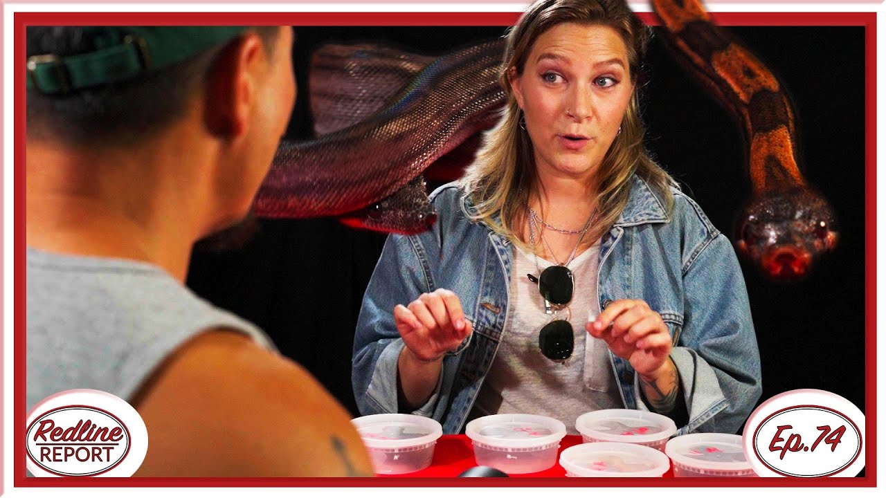 Kenzi Marsac Shows Off Her Best Boa Constrictors! - Redline Report Ep.74