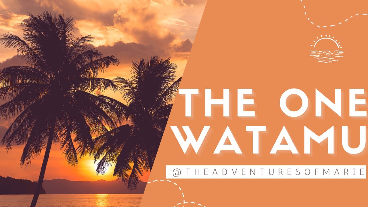 THE ONE WATAMU// WHERE TO STAY IN WATAMU #travel #travelvloger #beach #beachlife #adventure  #fyp