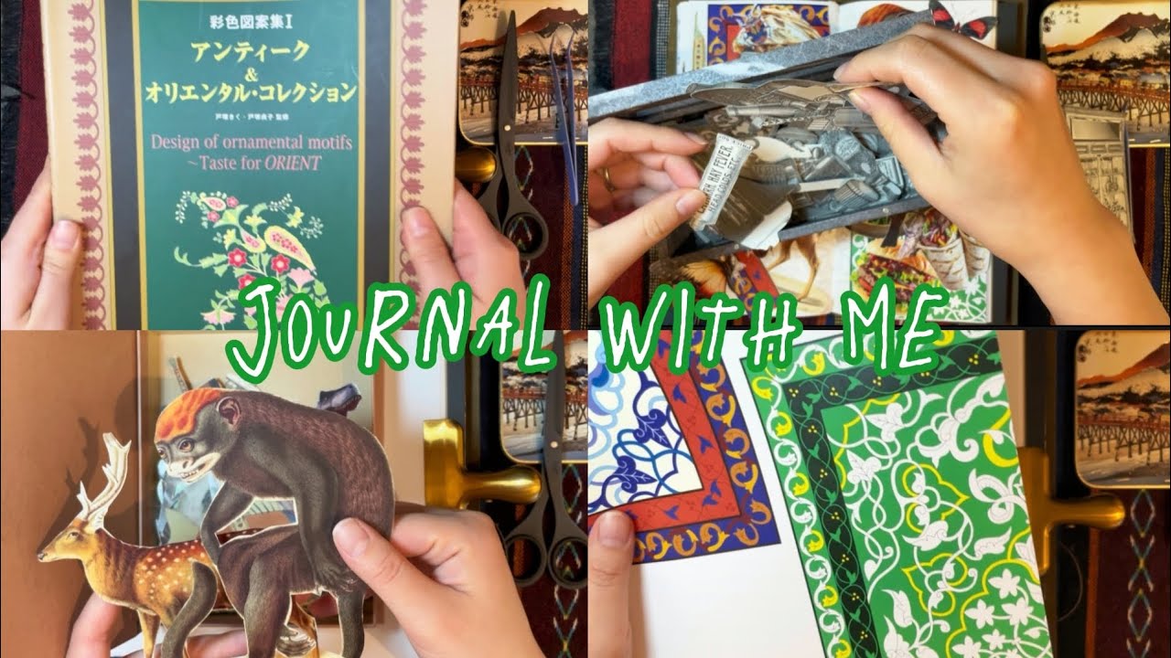 ASMR｜奇妙な野生コラージュ🐒🦌｜journal with me