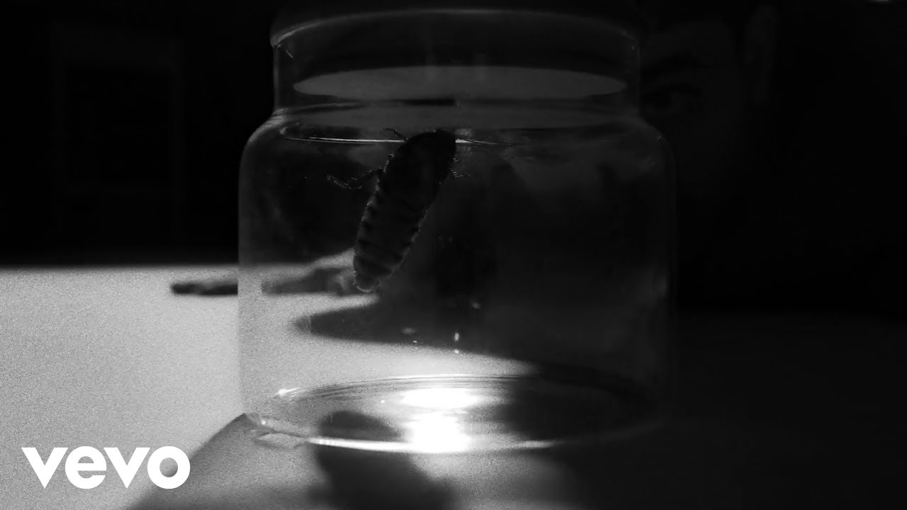 Aksan - Miras (Visualizer)