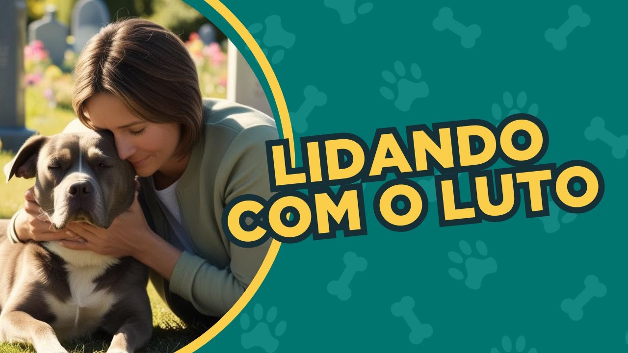 Saiba como lidar com a dor após perder um PET