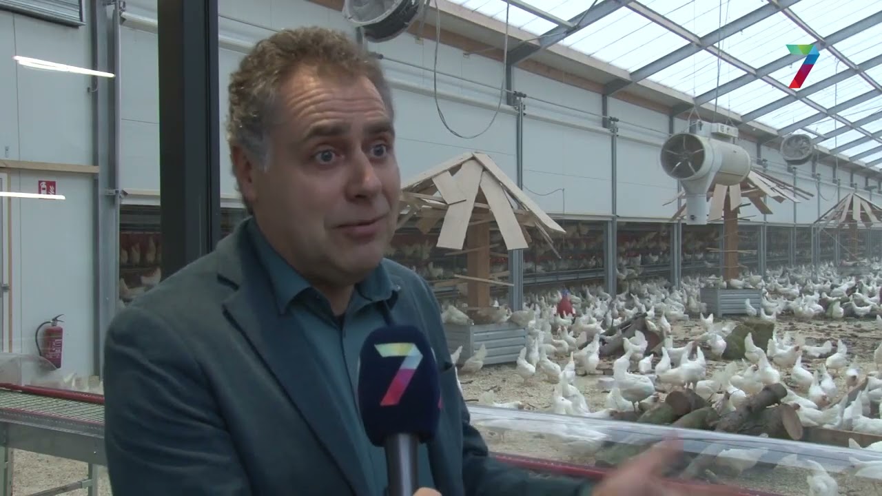 Diervriendelijke kippenboerderij Kipster geopend in Beuningen