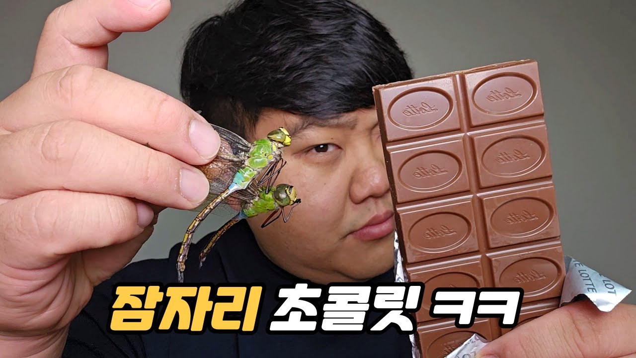 덩치 큰 잠자리 잡아서 부족한 두바이 초콜릿 만들어 먹기 ㅋㅋㅋㅋㅋㅋㅋㅋ(feat. 왕잠자리)