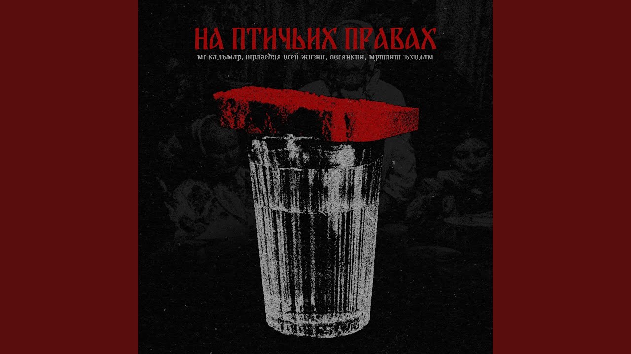 На птичьих правах