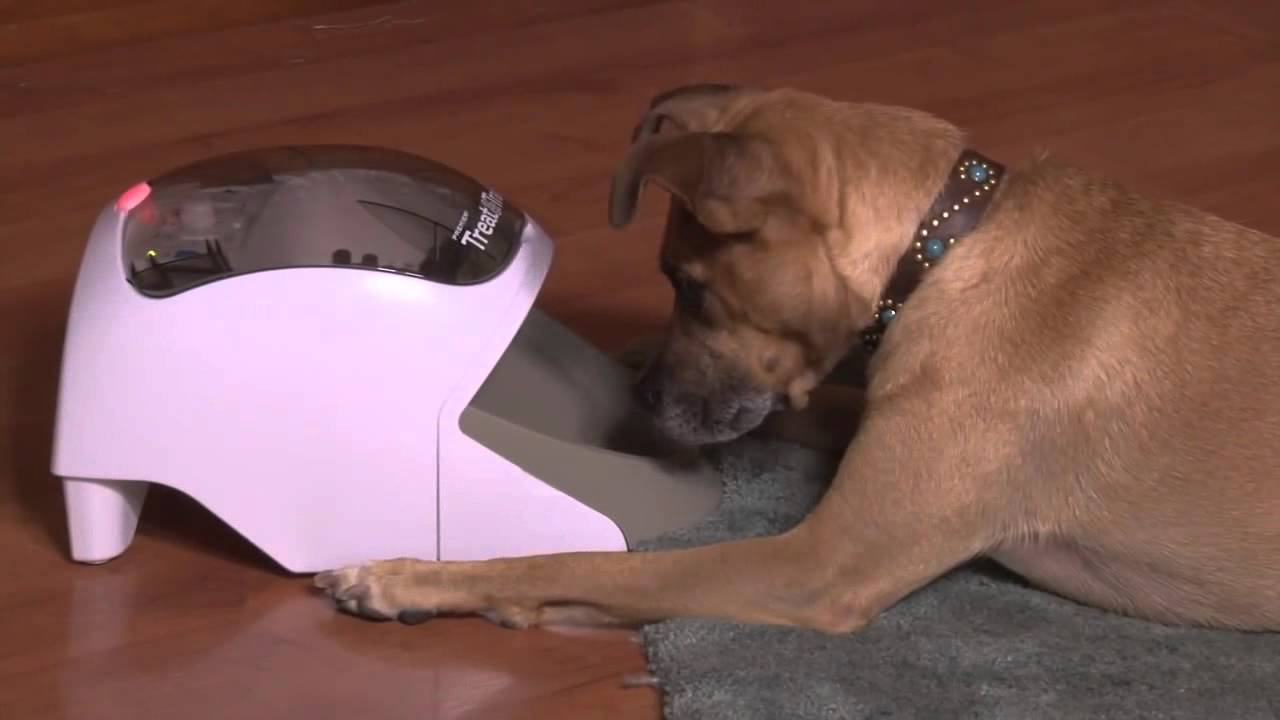 Premier Treat & Train - Using the Treat & Train to Solve Separation Anxiety