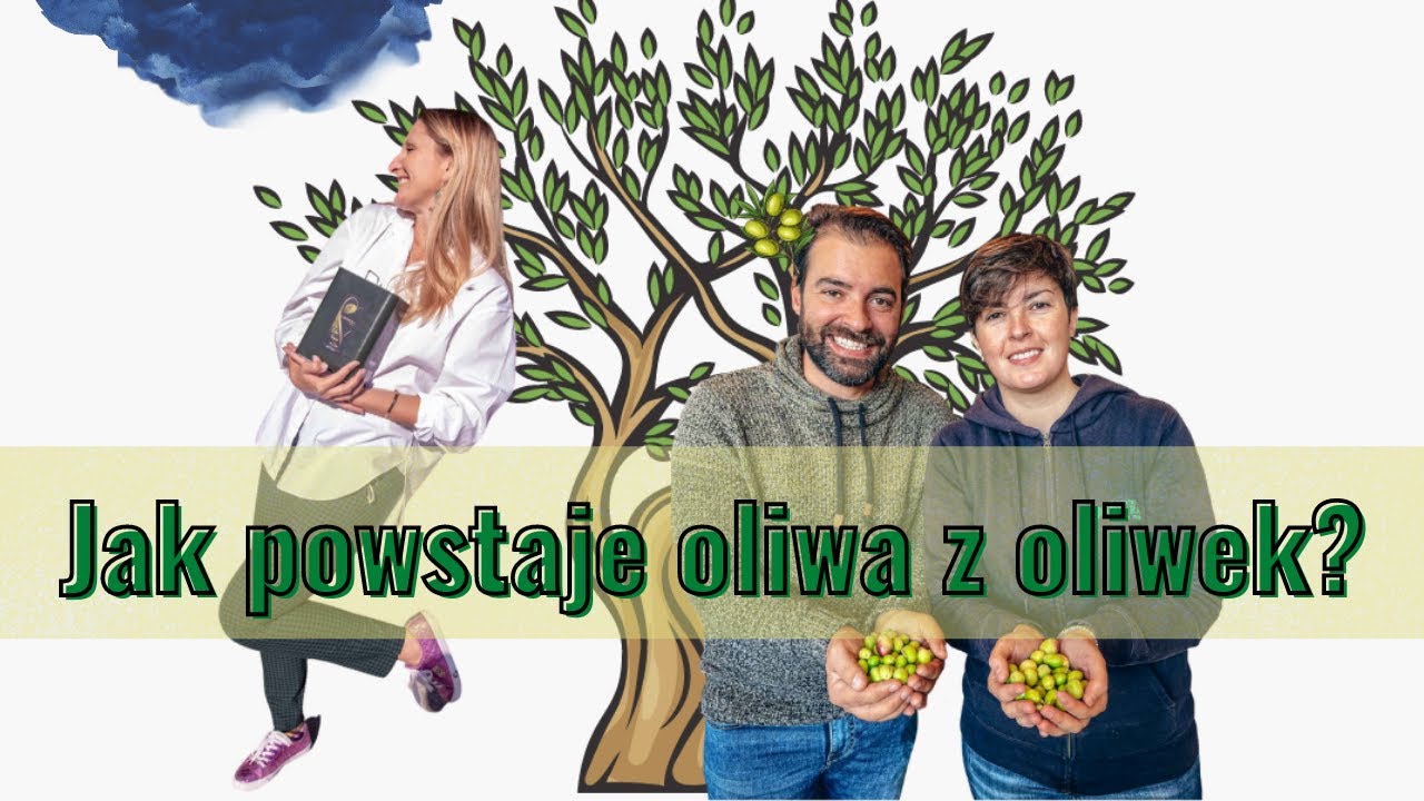 Jak robi się oliwę z oliwek na Sycylii?