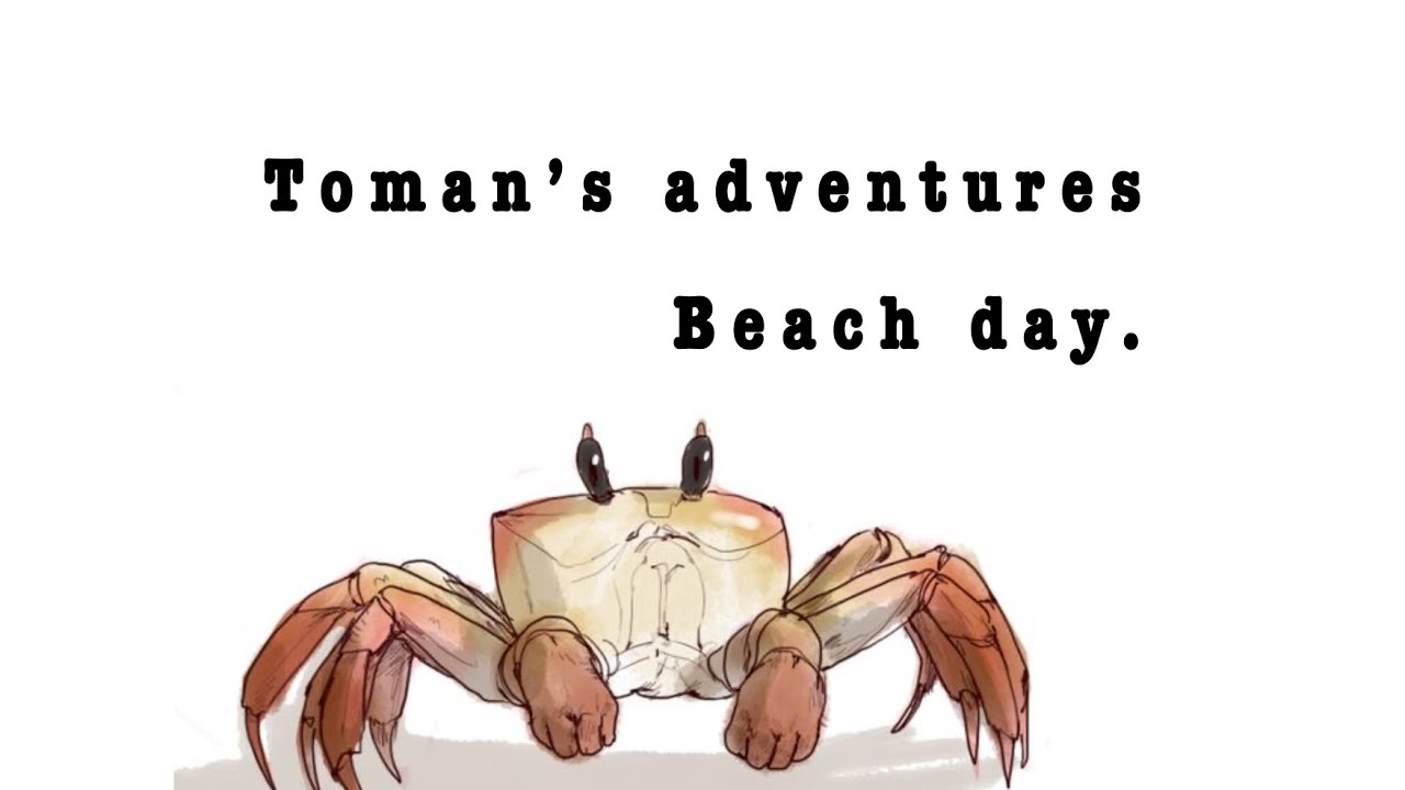 -Beach day-Toman’s adventures-Tokyo revengers-