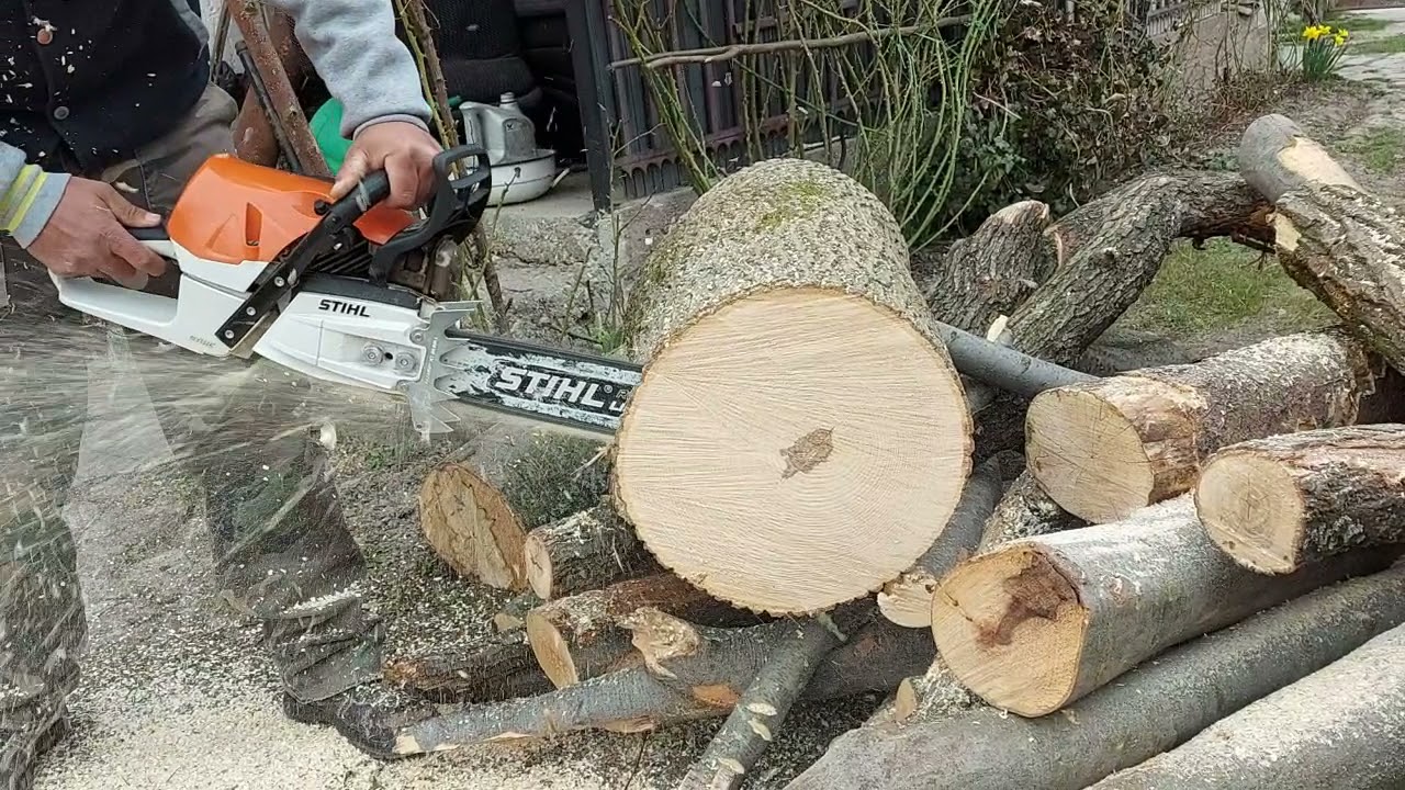 Stihl MS 462 C-M& 500i