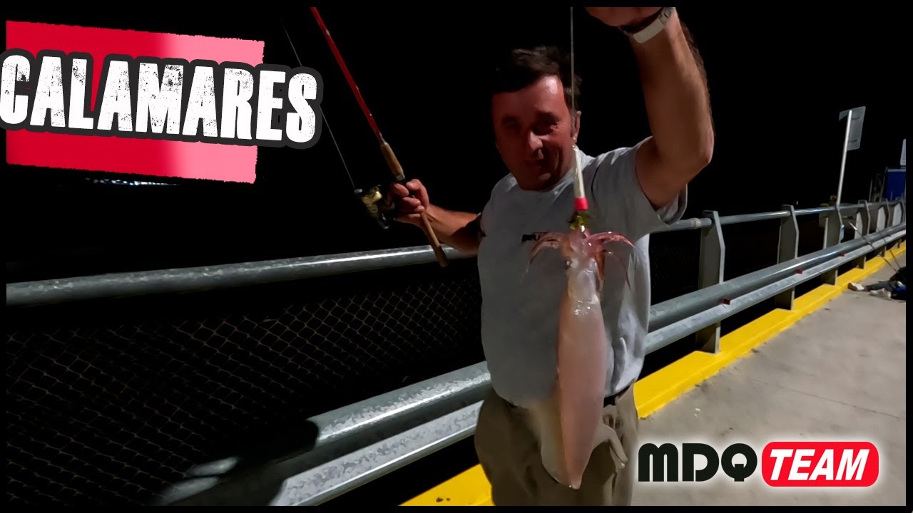 Pesca de CALAMARES con CAÑA