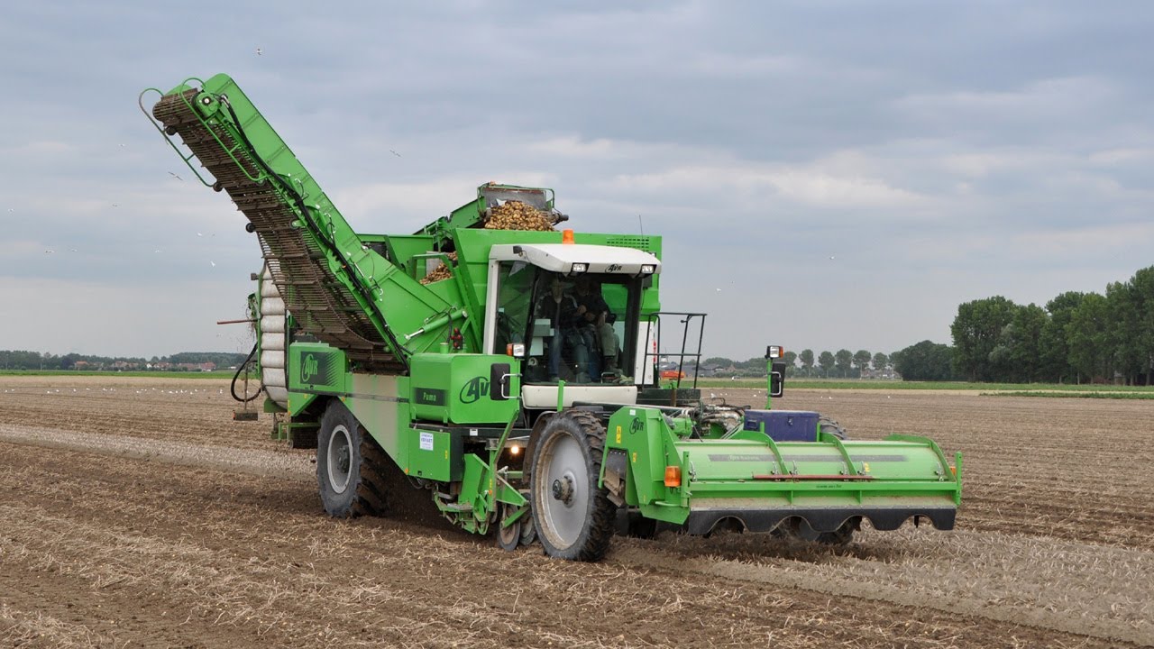 Loonwerk Vervaet - AVR Puma - plantaardappelen rooien