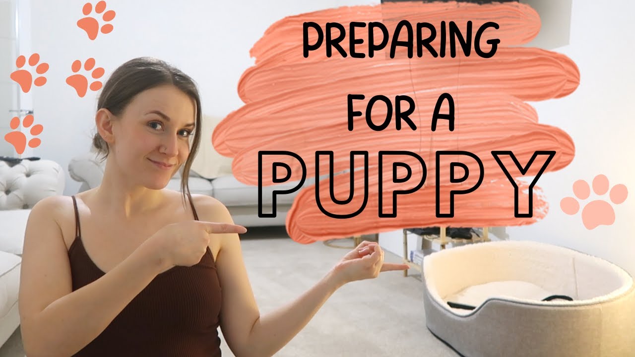 Preparing for a puppy! OMG!! eeeeee!
