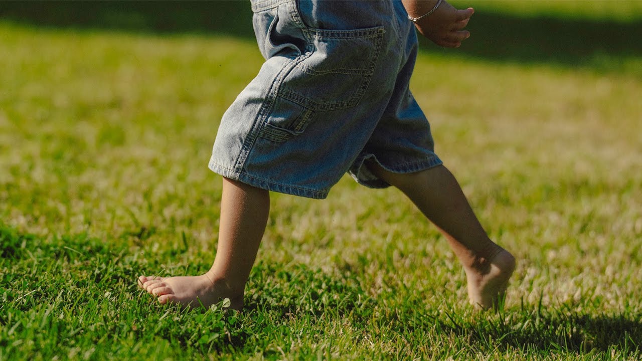 Part 4: Generations | American Family Insurance