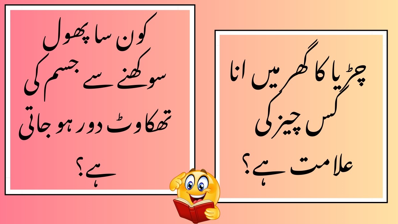 Commonsense paheliyan | Dilchasp Islamic Maloomat #mcqs  Sawaljawab #viralvideo#gk #generalknowledge