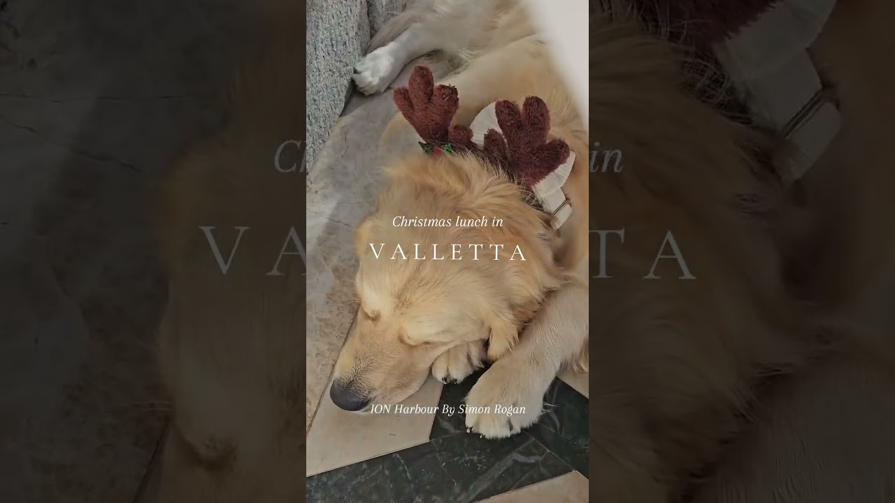 Christmas in Valletta Europe digital nomad life in Valletta, Malta 🇲🇹  /유럽 디지털 노마드 라이프 in 발레타, 몰타 🇲🇹