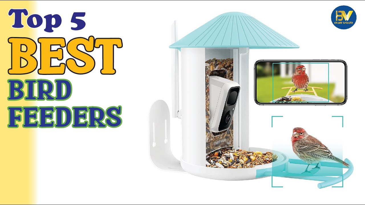 Best Bird Feeders On Sale | Top 5 Bird Feeders Review
