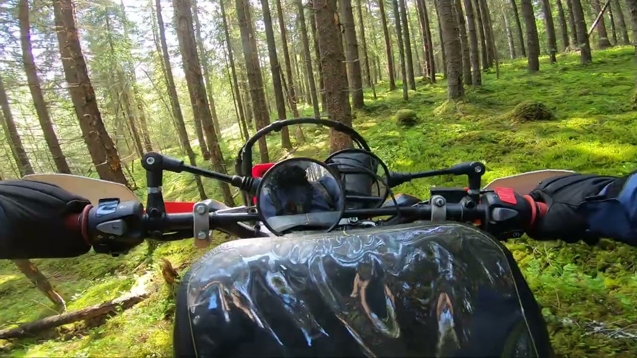 Dualsport riding in Sweden - Honda CRF300l - Crash