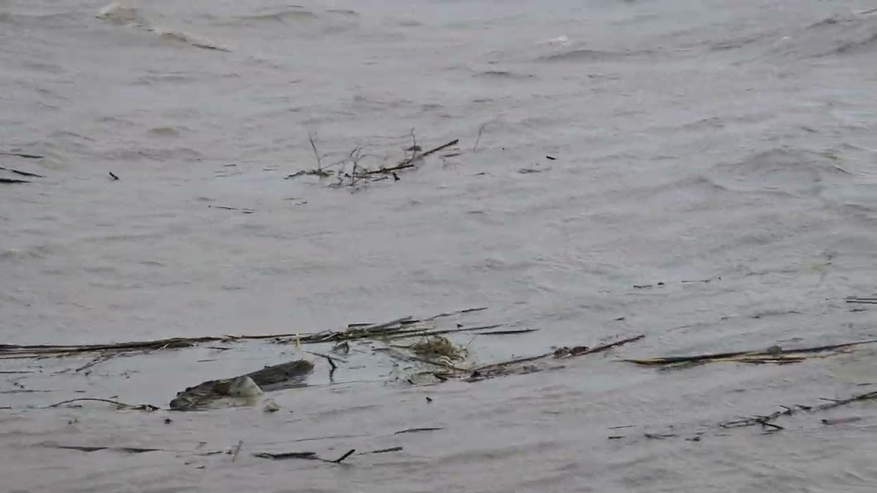 El río Júcar a su paso por Cullera